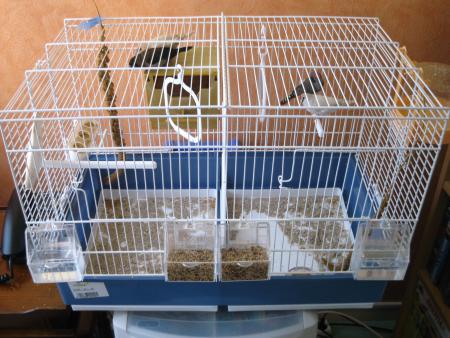 Ma nouvelle cage d'élevage