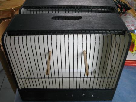 mes premieres cages d'exposition